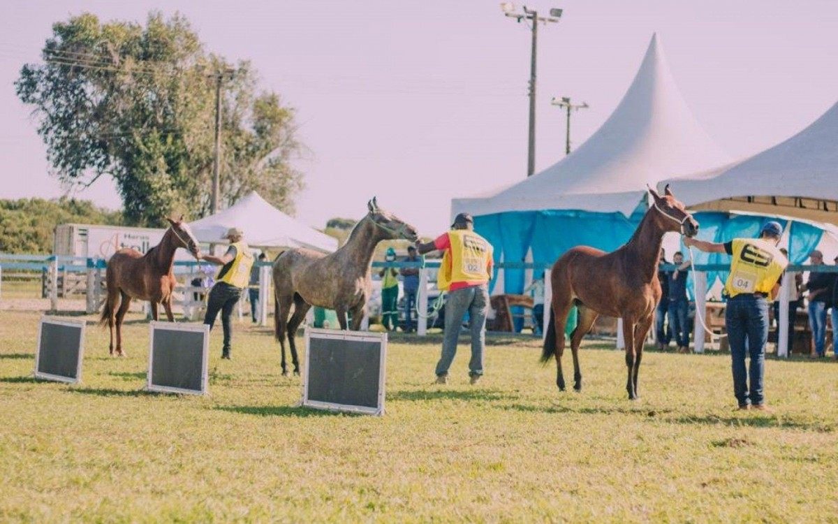 Para o acesso ao Parque de Exposi&ccedil;&otilde;es de Tamoios, que fica no complexo da Fazenda Campos Novos, &eacute; obrigat&oacute;rio o uso de m&aacute;scara de prote&ccedil;&atilde;