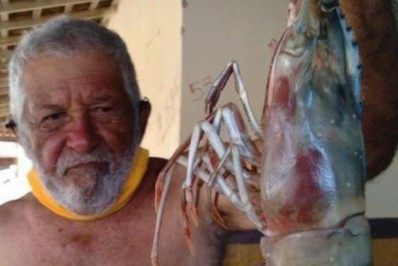 'Camarão gigante' é capturado por pescador no Rio Grande do Norte