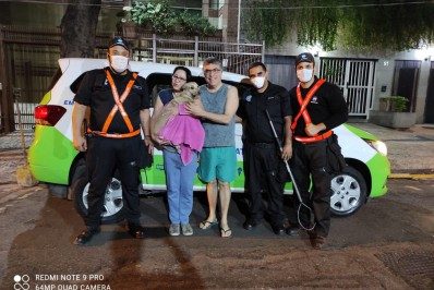 Cadelinha é resgatada na linha férrea do metrô após ficar 12 horas perdida
