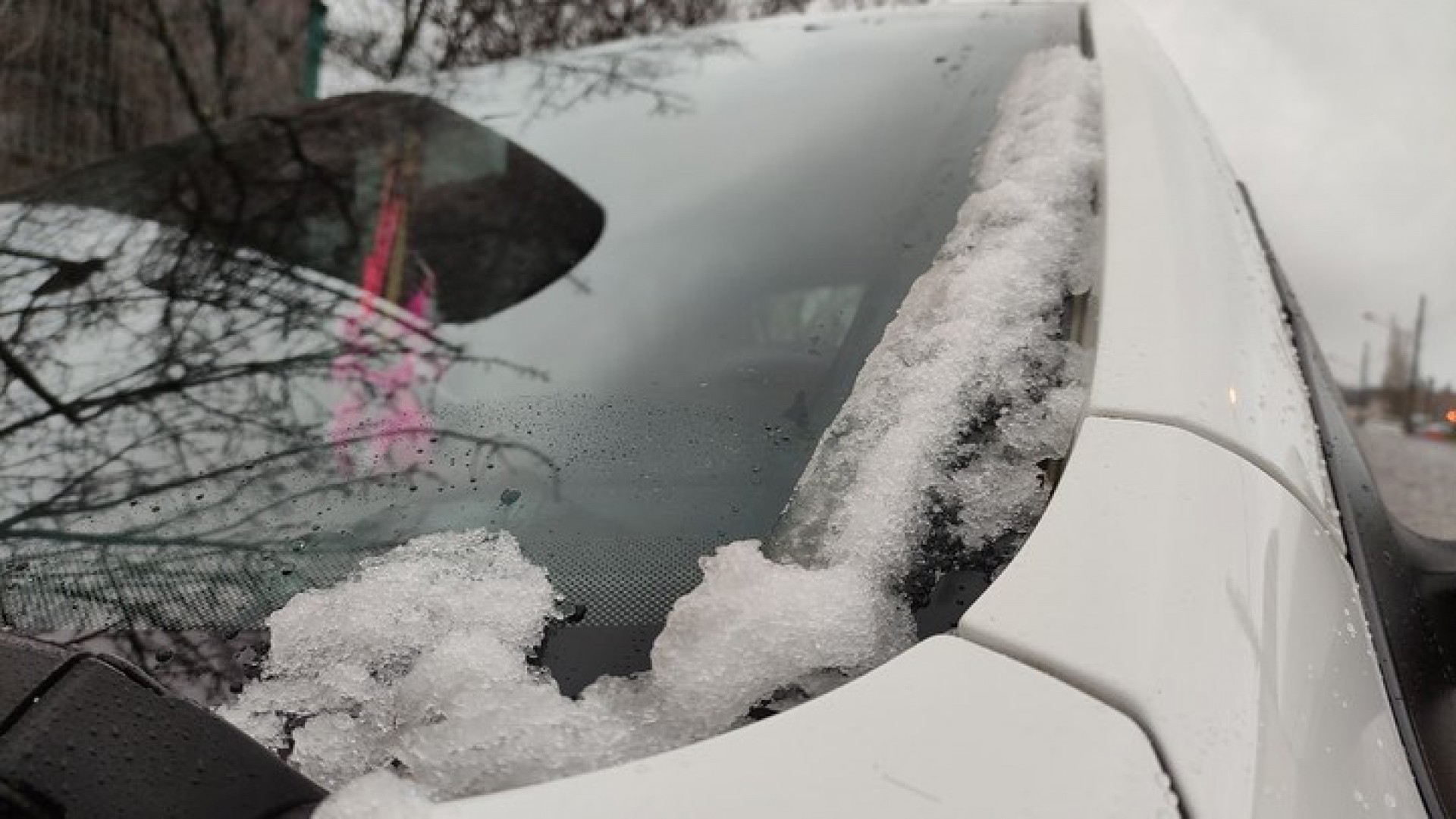  Em semana de frio intenso, SC registra neve e menor temperatura do Brasil - Reprodução Instagram