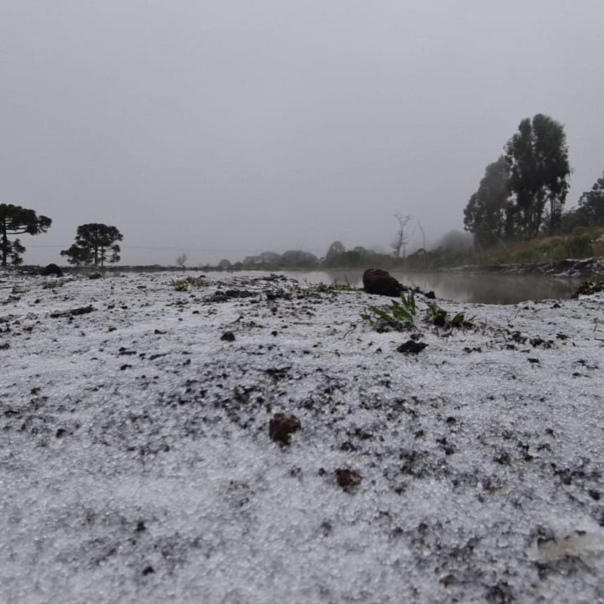  Em semana de frio intenso, SC registra neve e menor temperatura do Brasil - Reprodução Instagram