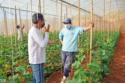 Prefeitura de Paty oferece orientação técnica para cultivo protegido