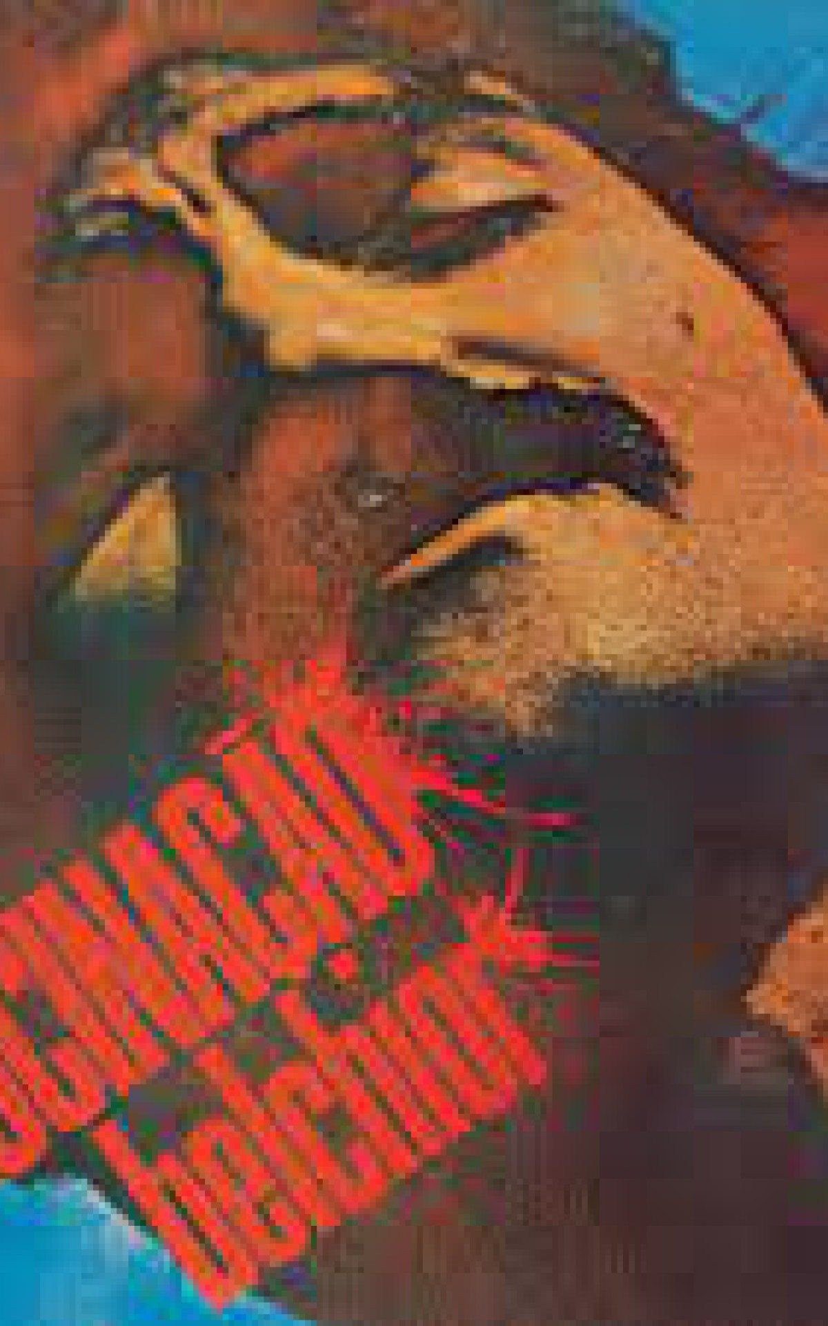 "Alucina&ccedil;&atilde;o", de Belchior: capa assinada por Janu&aacute;rio Garcia