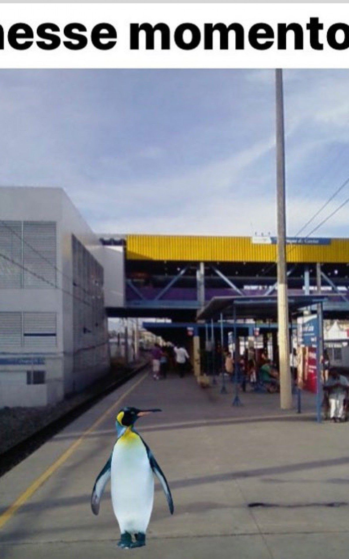 Memes do frio em Duque de Caxias