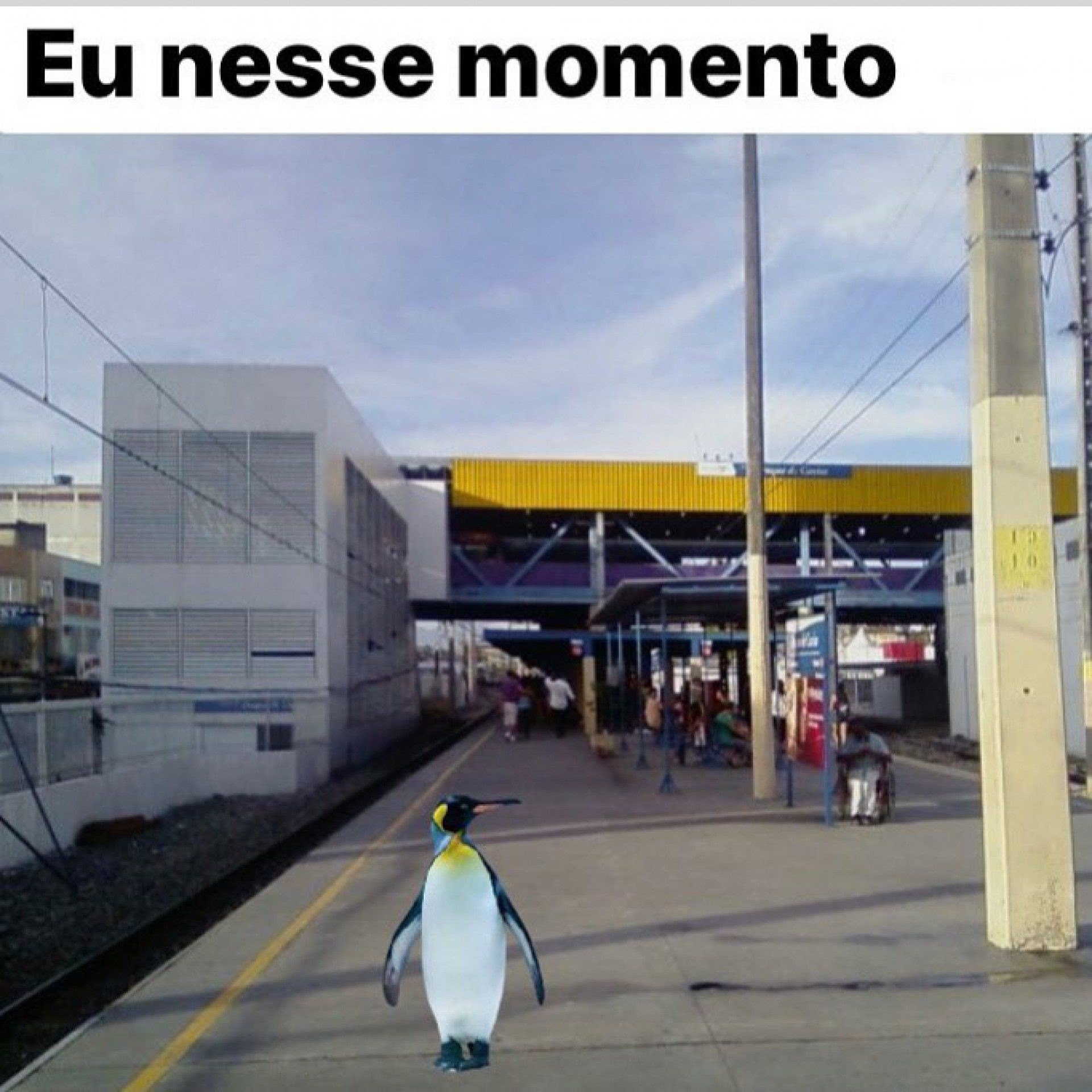 Memes do frio em Duque de Caxias - Reprodu&ccedil;&atilde;o