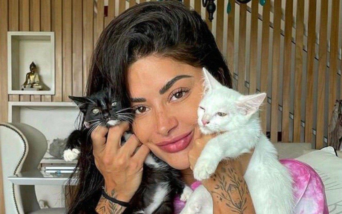 Aline Riscado. Coluna Pets
