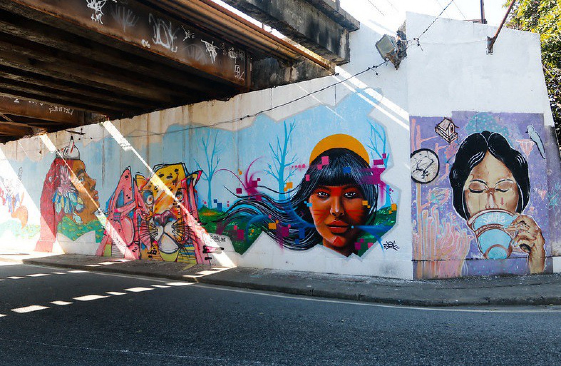 Fotos do mural de grafite feito no viaduto. - Joice Nascimento