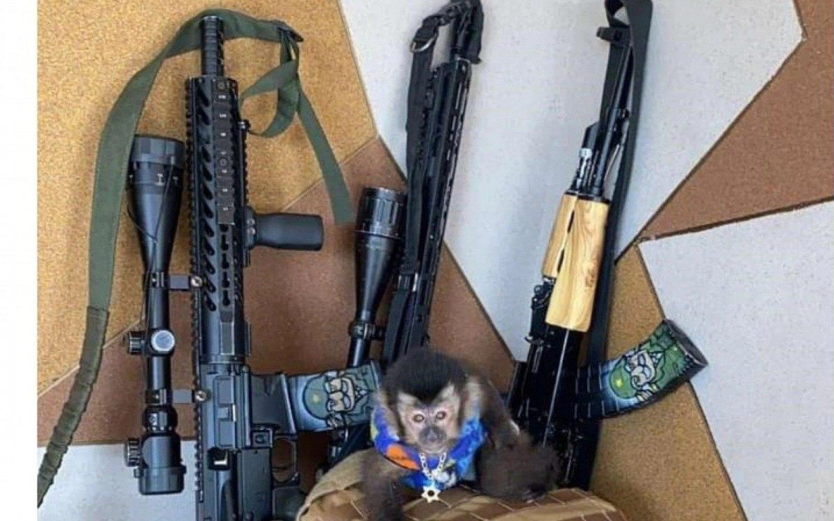 Macaco que seria do traficante Coronel, do Muquiço