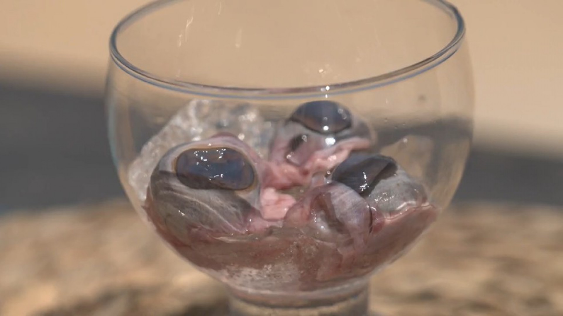 O famoso olho-de-cabra não vai ficar de fora da prova da comida - Divulgação / TV Globo