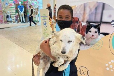 Bangu Shopping recebe feira de adoção de animais