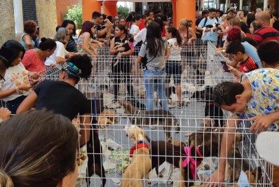 São Gonçalo realiza feira de adoção de cães e gatos neste domingo (11)