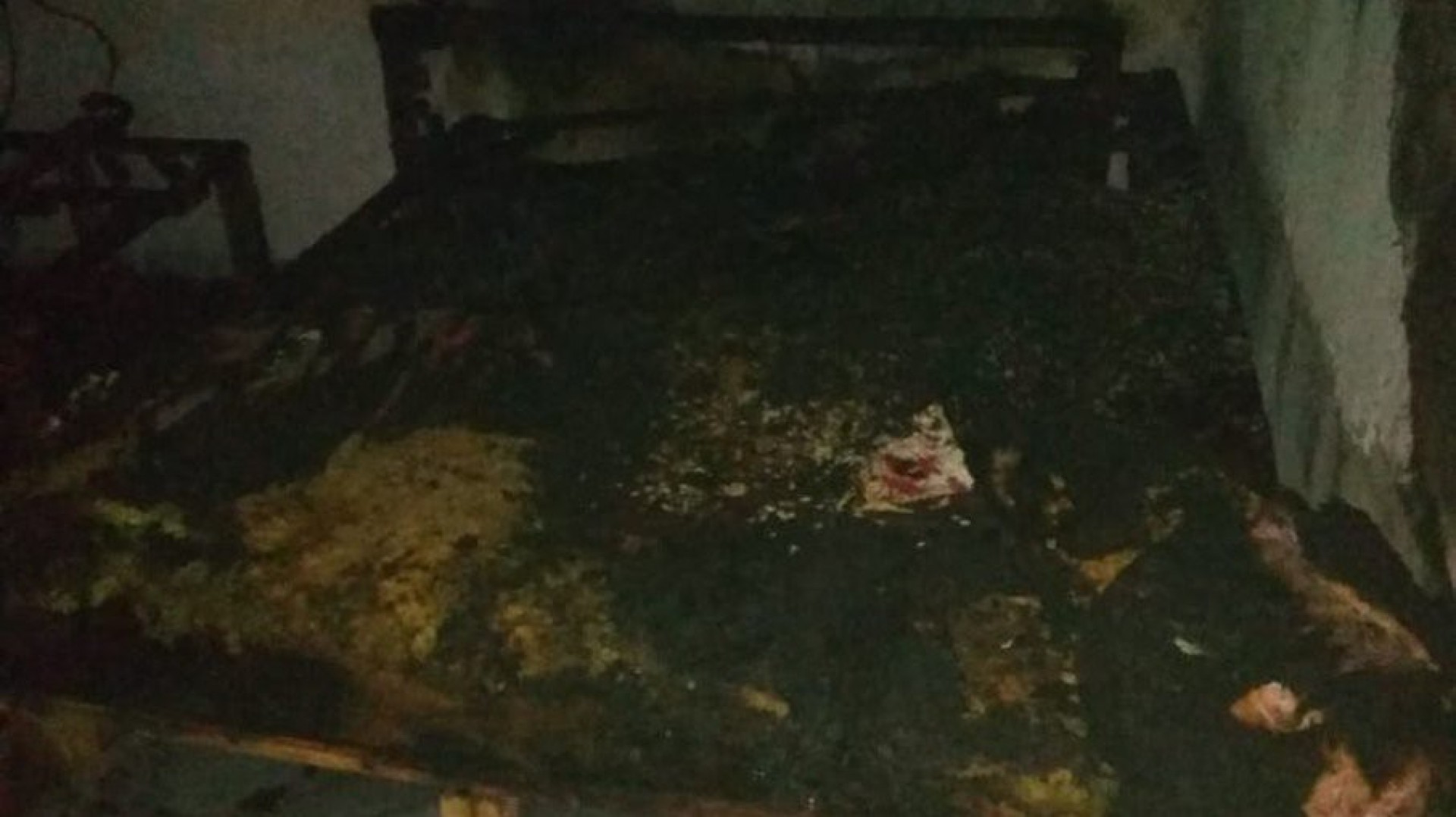 Criança de dois anos se esconde em geladeira e consegue se salvar de incêndio