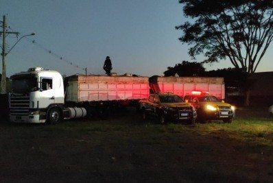 Polícia intercepta caminhão com 36,5 toneladas de maconha e registra maior apreensão da história do país