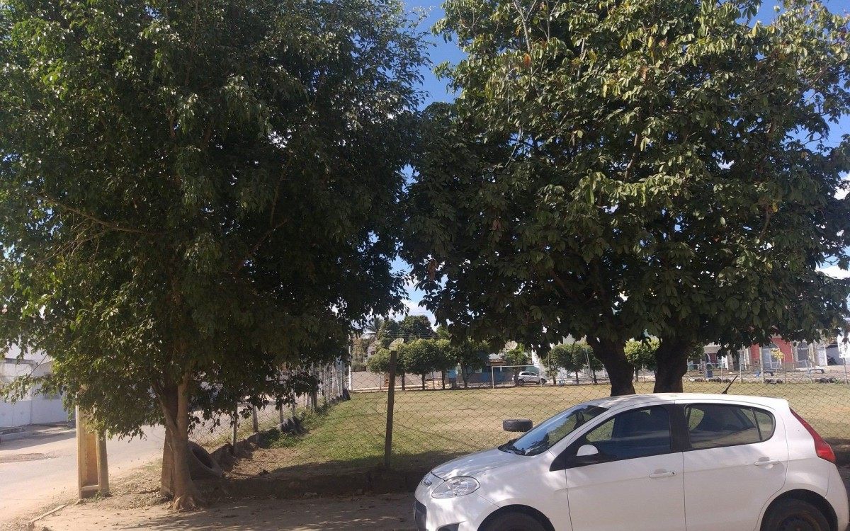 Falta poda de &aacute;rvores no local.