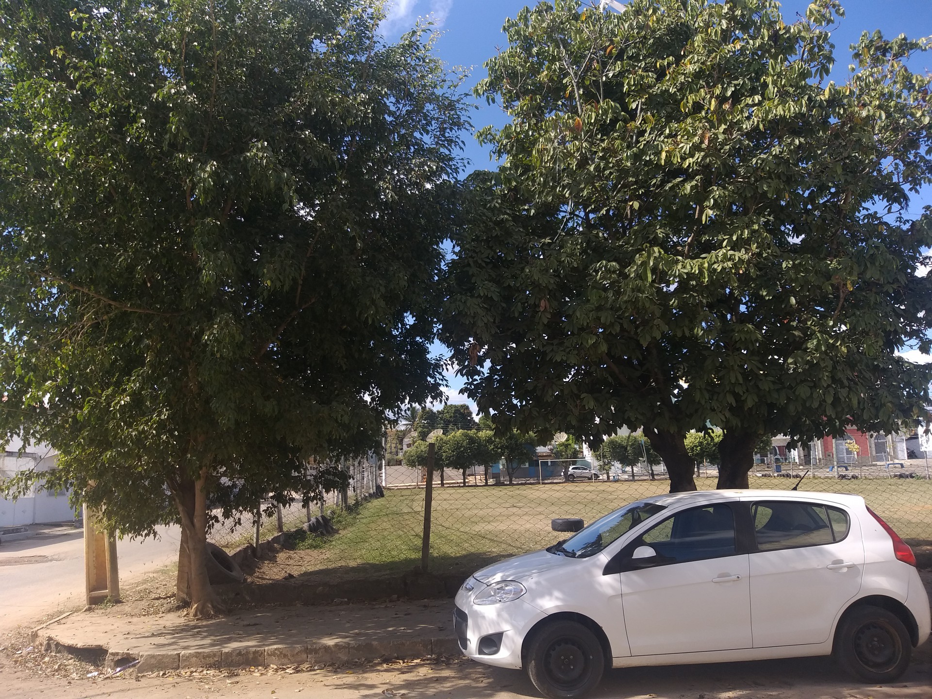 Falta poda de &aacute;rvores no local. - Foto: leitor/via WhatsApp