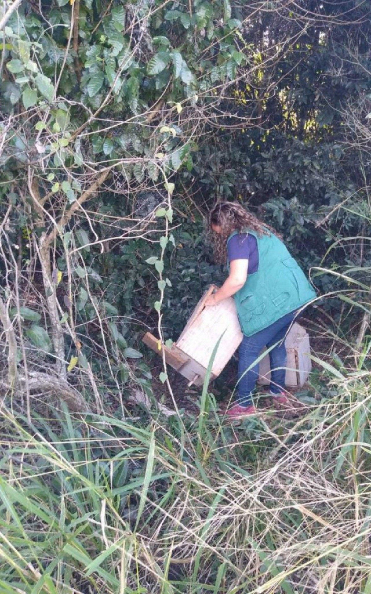 As arapucas estavam armadas numa &aacute;rea da Rua das Pacas