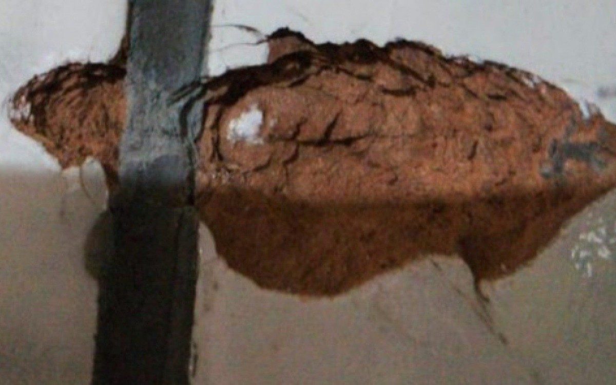 Moradores e comerciantes contabilizaram prejuízo após noite de confronto no Complexo do Salgueiro