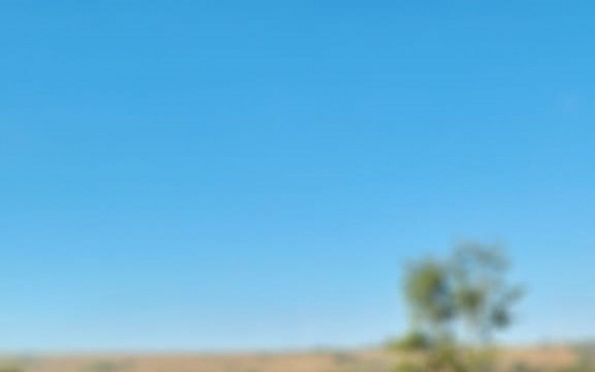 Os ocupantes do carro disseram que estavam indo para o casamento, no Colorado, quando houve pane mecânica no automóvel