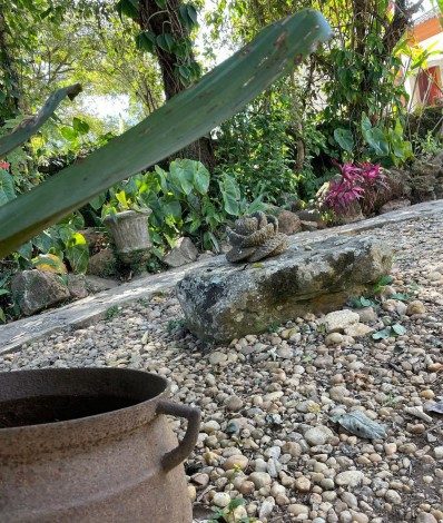 Fátima Bernardes abre álbum de viagem com Túlio Gadelha - Reprodução