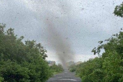 Vídeo: motorista é surpreendido por 'tornado de mosquitos'