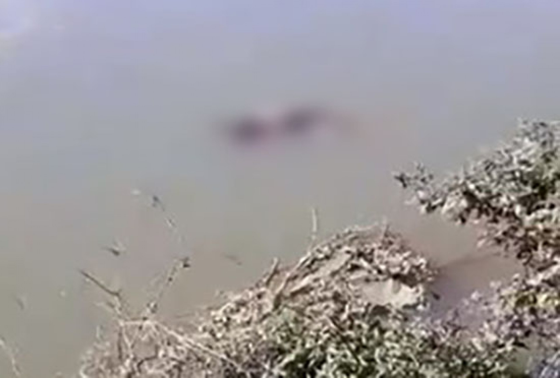 Corpo de mulher &eacute; encontrado boiando em rio que corta Barra Mansa