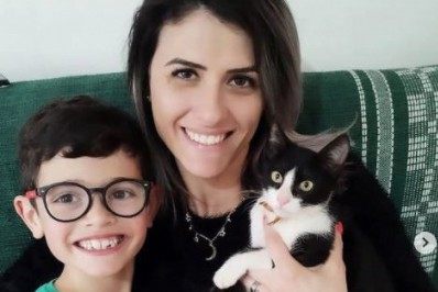 Filhote de gato volta para casa após viajar 250km em motor de carro