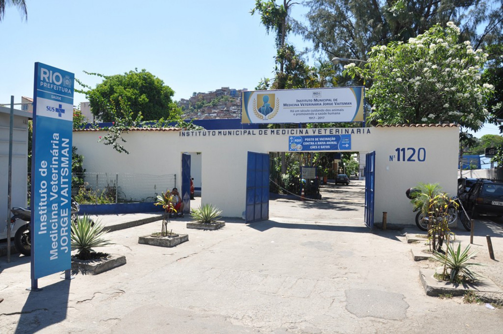 Instituto veterin&aacute;rio doa insumos e animais ficam sem cirurgia de emerg&ecirc;ncia