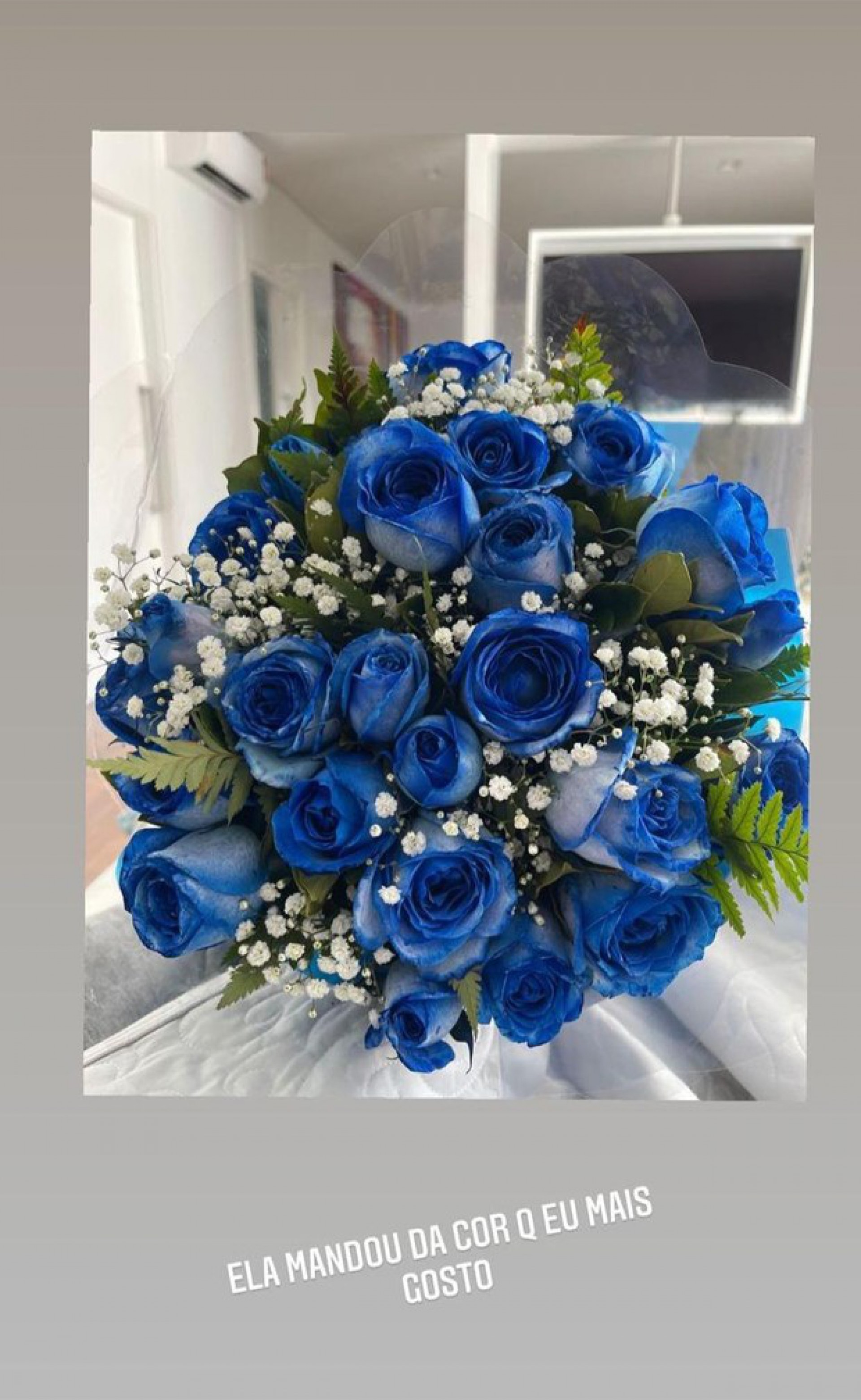 Whindersson Nunes ganha flores da namorada - Reprodução Internet