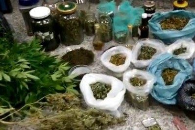 PM prende dois suspeitos por plantação de 60 pés de maconha em Nova Friburgo