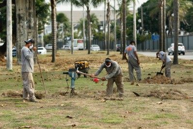 Estrada do Galeão, na Ilha do Governador, ganha projeto de arborização