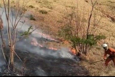 (VÍDEO) Bombeiros combatem incêndio florestal na Posse