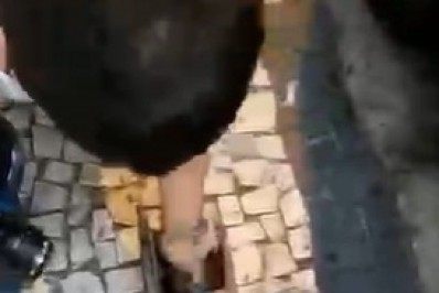 Polícia encontra drogas em bueiro durante ação contra o tráfico em Santa Teresa 