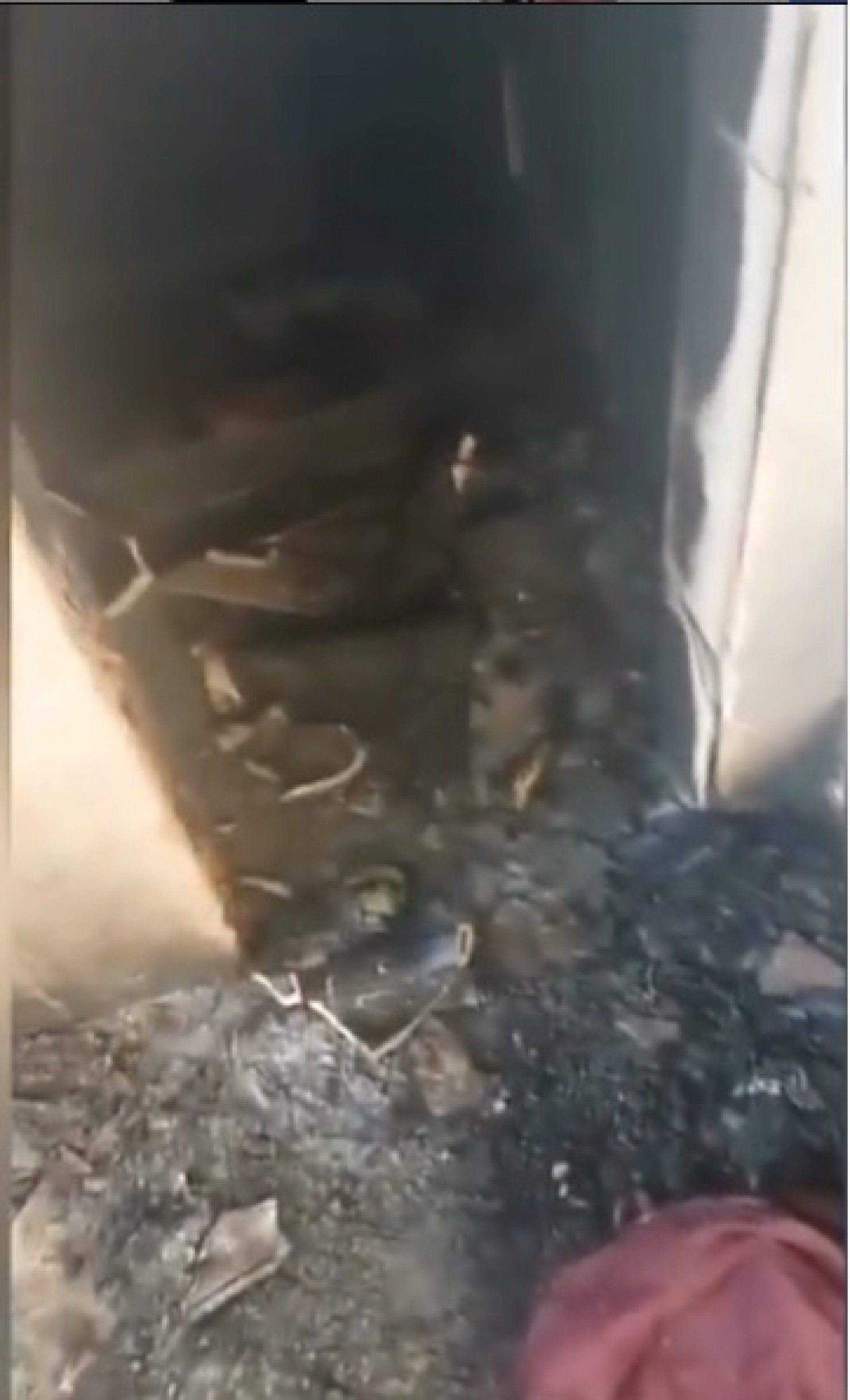 A parte interna da casa ficou totalmente destru&iacute;da - Reprodu&ccedil;&atilde;o