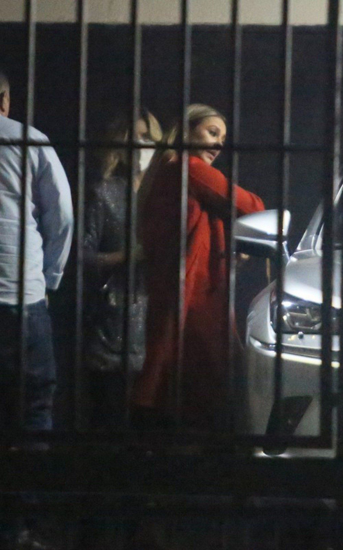 Paolla Oliveira em show de Diogo Nogueira