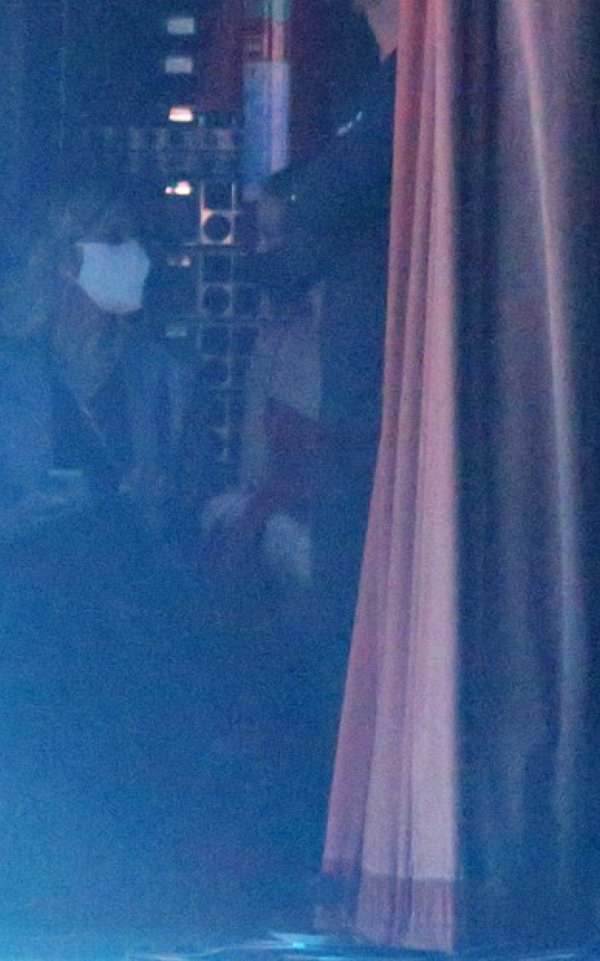 Paolla Oliveira em show de Diogo Nogueira