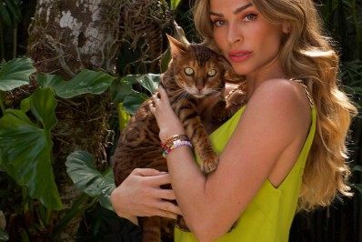 Gatinhas? Grazi Massafera posa com pet e arranca elogios