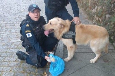 Cão da Guarda Civil encontra drogas na Rua do Encanto