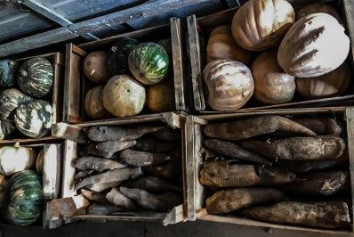 Prefeitura inicia distribuição de produtos da Agricultura Familiar para compor merenda escolar