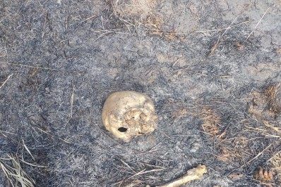 Ossada humana é encontrada em canavial de Campos, no RJ