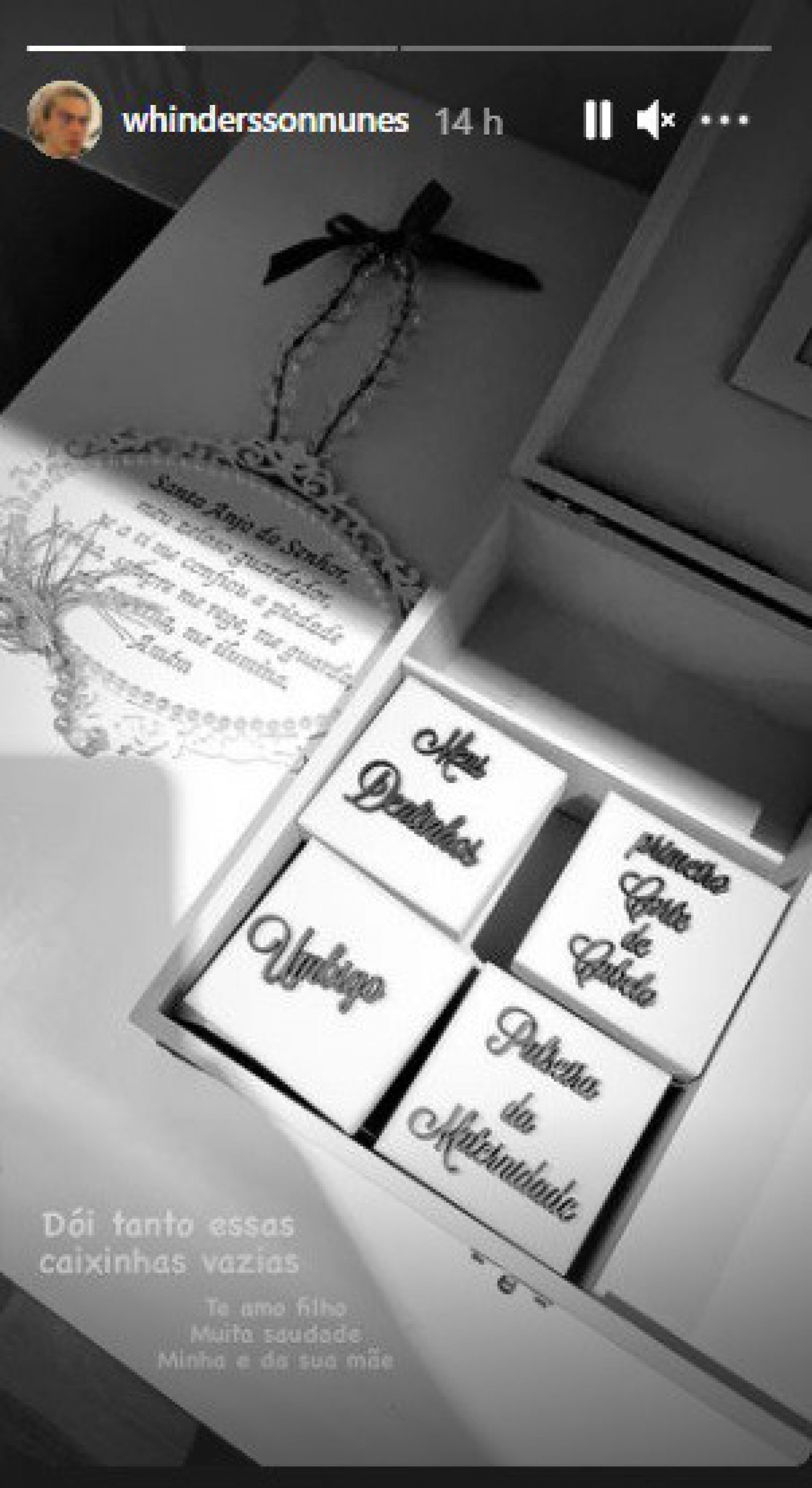 Post e Whindersson Nunes - Reprodução