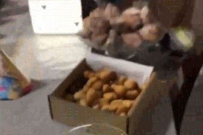 Blogueiras são recebidas com festa após soltura - Reprodução