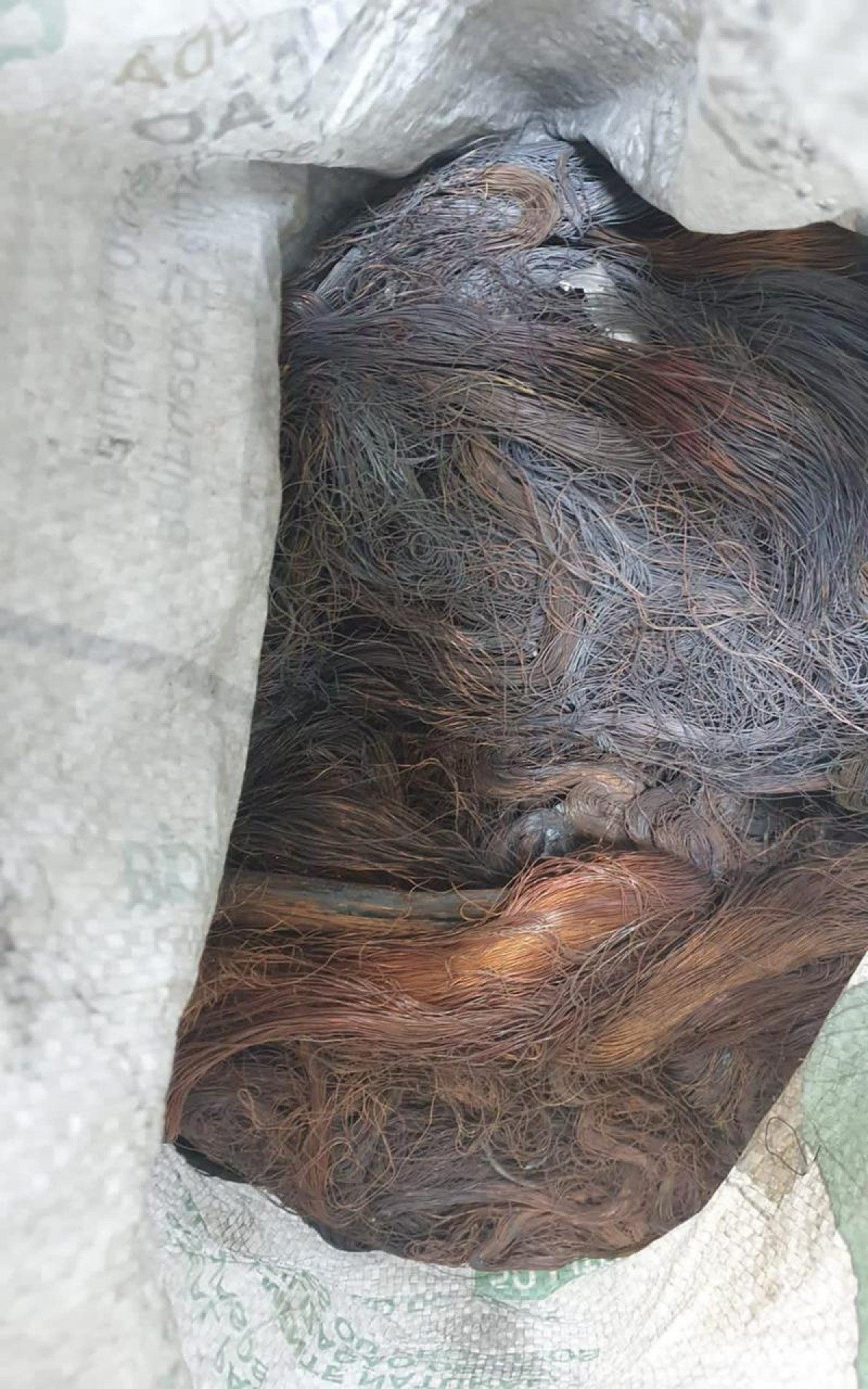 Dono da recicladora vai responder pelo crime de recepta&Atilde;&sect;&Atilde;&pound;o qualificada