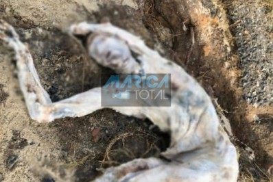 Corpo em decomposição é encontrado na Orla de Cordeirinho