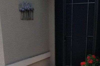 Jacaré vai até a porta de uma casa atraído por latidos de um cão