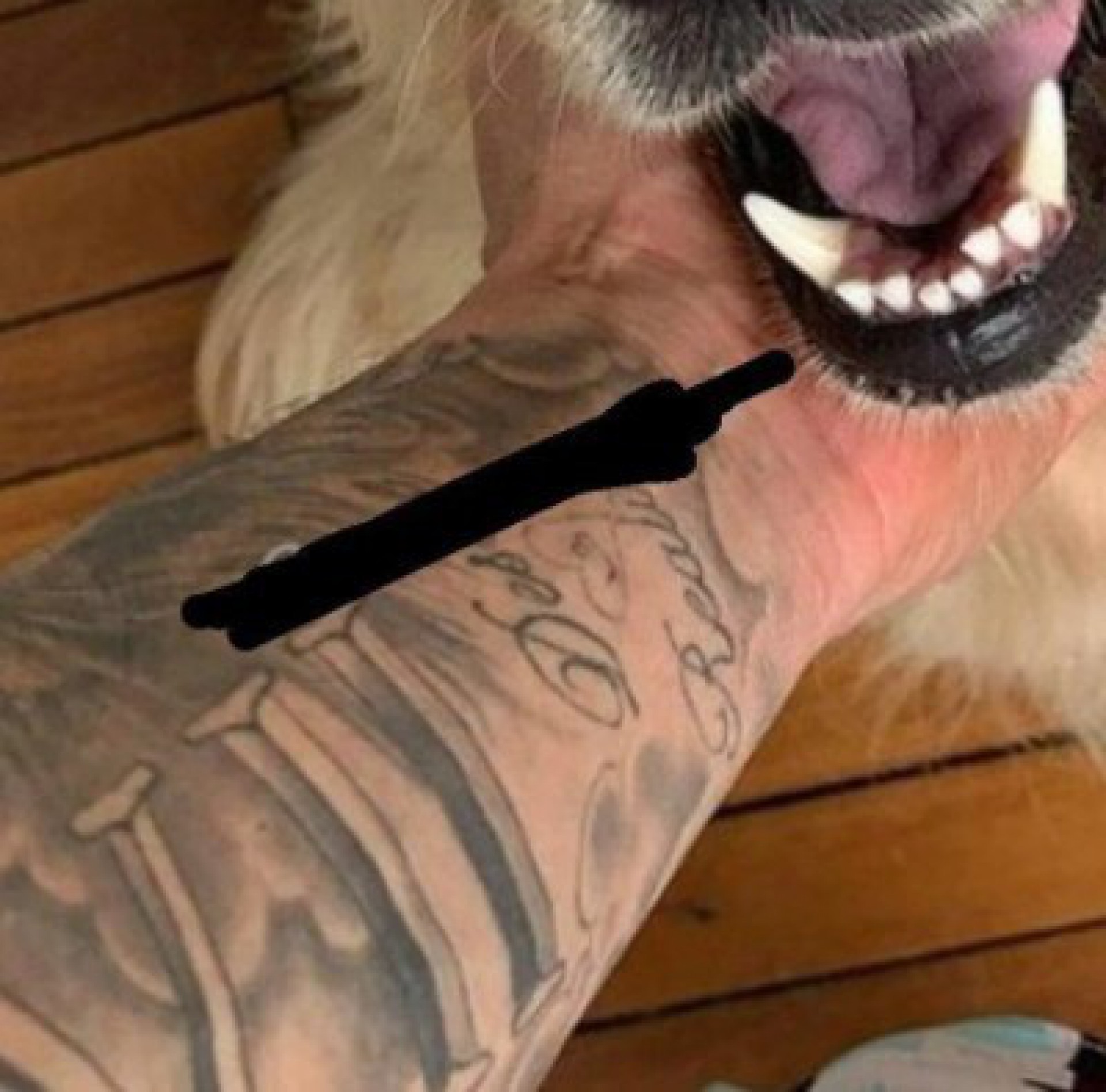 Tatuagens de Medina - Reprodução