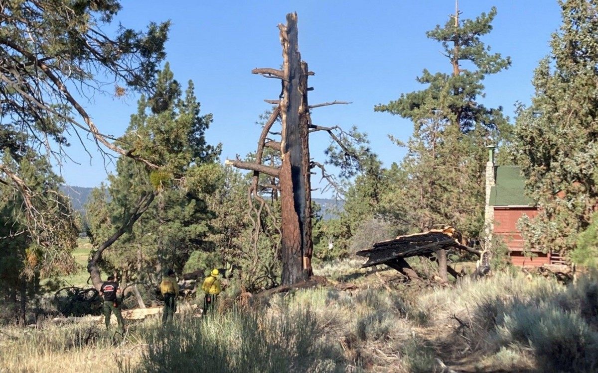 &Atilde;rvore ficou em chamas ap&Atilde;&sup3;s tempestade
