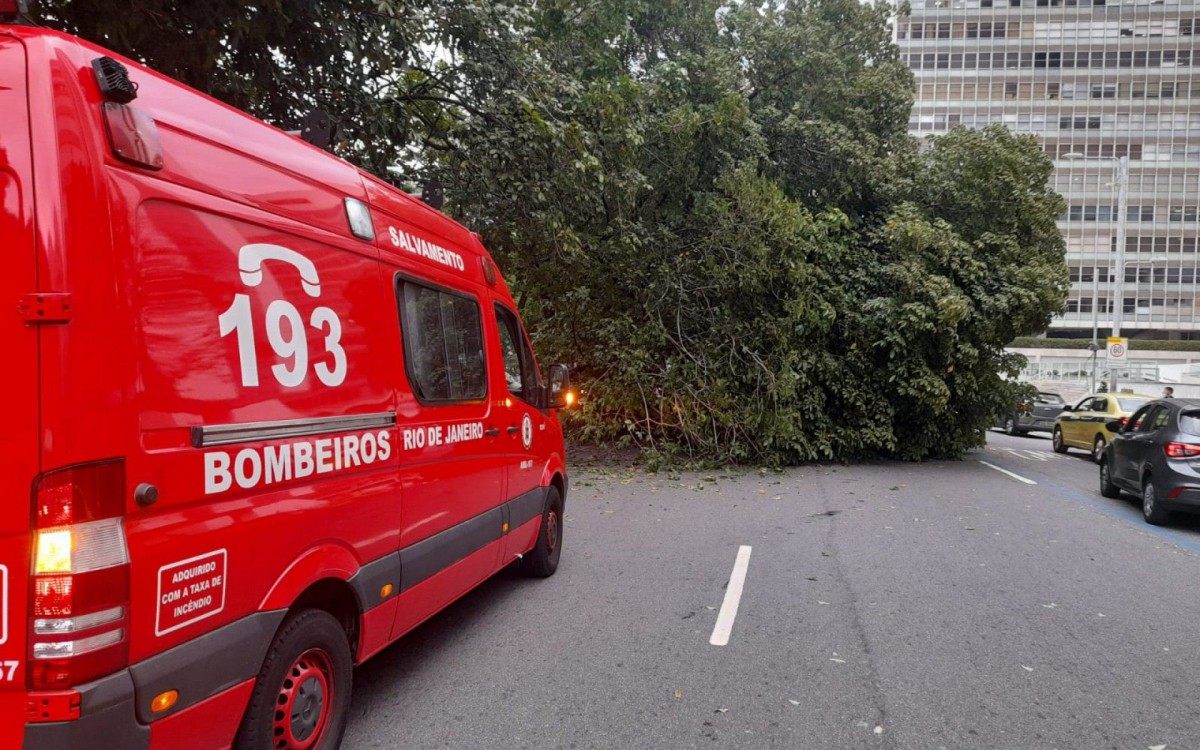 Árvore cai em cima de carro na praia de Botafogo, na Zona Sul do Rio