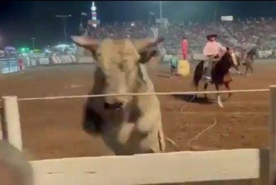 Vídeo: Touro descontrolado avança na direção da plateia em rodeio
