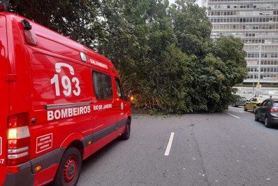 Árvore cai em cima de carro e bloqueia rua próximo à praia de Botafogo