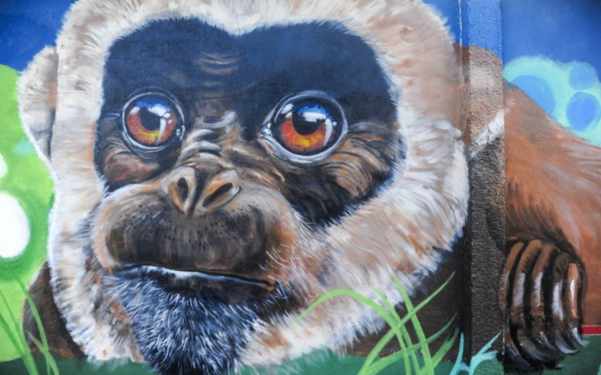 Macaco-Muriqui, um dos animais da fauna guapimiriense